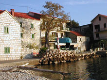 Podaca
