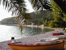 Podaca