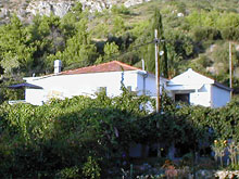 Podaca